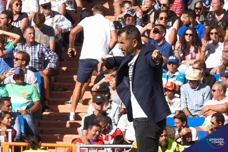 Diego Martínez, entrenador del Granada CF, en un momento del encuentro (JOSÉ M. BALDOMERO)