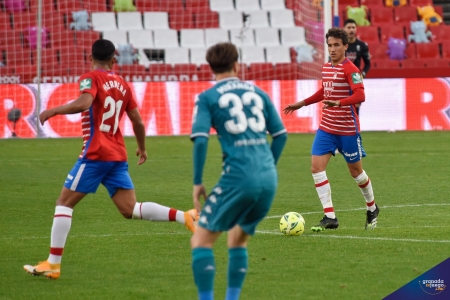 Luis Milla, durante su último partido en `Los Cármenes´ antes de padecer el Coronavirus (JOSÉ M. BALDOMERO)