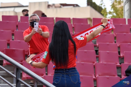 Unos 11.000 abonados podrán presenciar el Granada - Betis en el `Nuevo Los Cármenes` (JOSÉ M. BALDOMERO) Unos 11.000 abonados podrán presenciar el Granada - Betis en el `Nuevo Los Cármenes` (JOSÉ M. BALDOMERO)