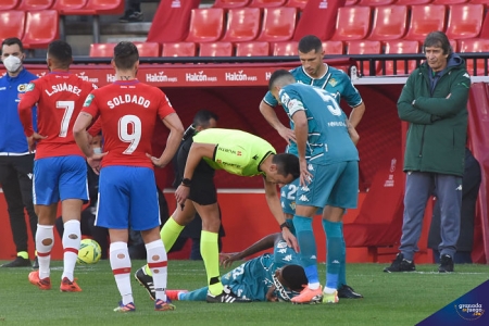 Sánchez Martínez, durante el Granada - Betis de la pasada temporada (JOSÉ M. BALDOMERO)