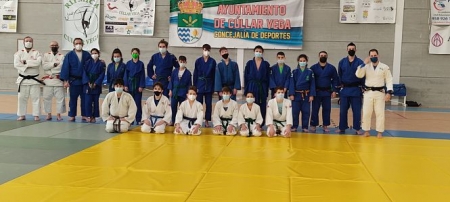 Judokas que han participado en el entrenamiento (AYTO. CÚLLAR VEGA) Judokas que han participado en el entrenamiento (AYTO. CÚLLAR VEGA)