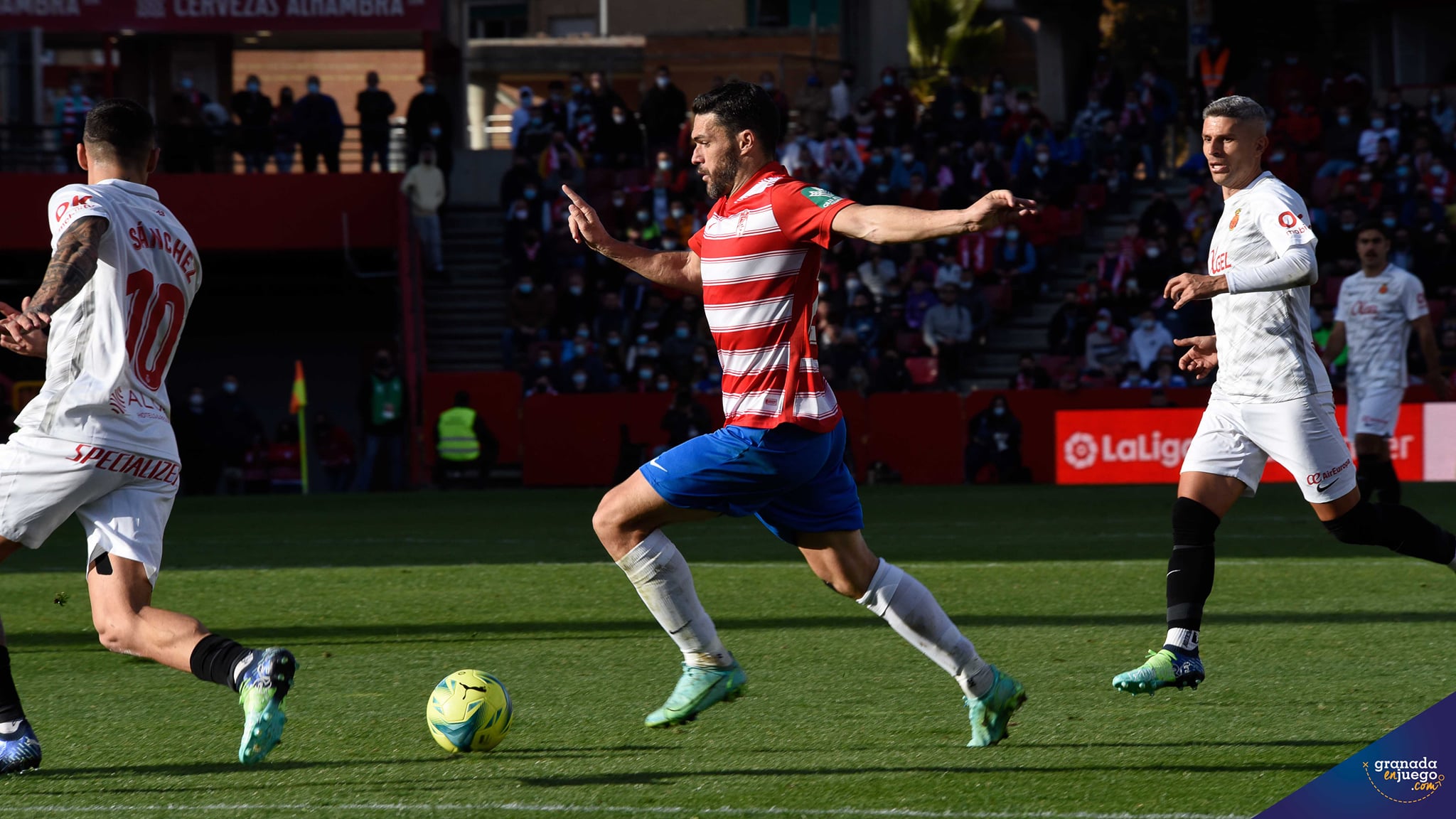 Jorge Molina, en el momento de golpear el balón para hacer su tercer gol ante el Mallorca (JOSÉ M. BALDOMERO)