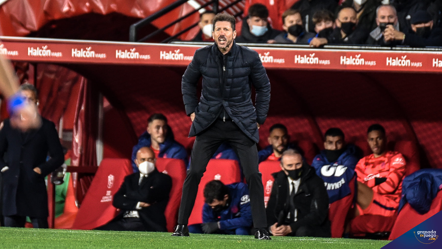 Simeone, durante el Granada - Atlético de Madrid en el `Nuevo Los Cármenes` (JOSÉ M. BALDOMERO)