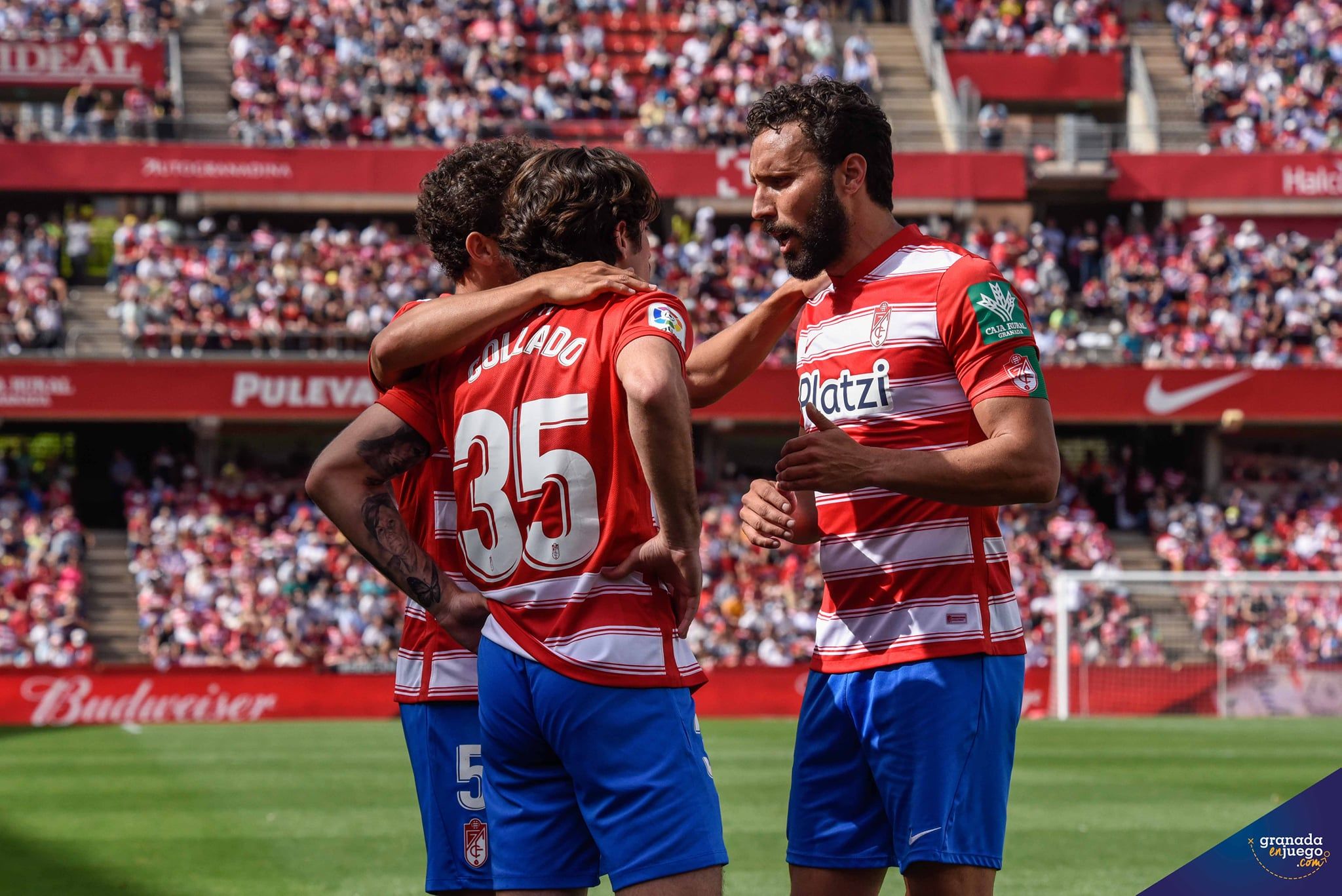 El Granada, tras empatar frente al Celta, afrontará el sábado una final en Mallorca (JOSÉ M. BALDOMERO)