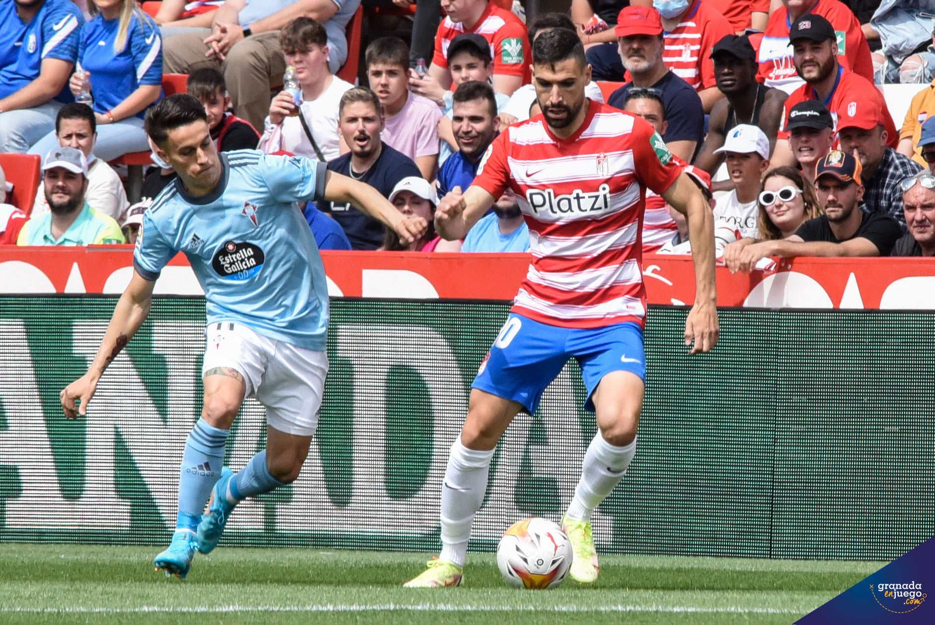 Antonio Puertas, durante el último encuentro ante el Celta en `Los Cármenes` (JOSÉ M. BALDOMERO)