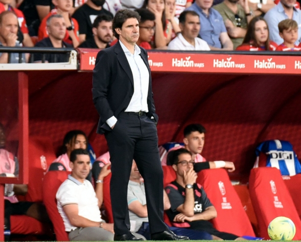 Aitor Karanka, entrenador del Granada CF, en un momento del partido ante el Espanyol (JOSÉ M. BALDOMERO)