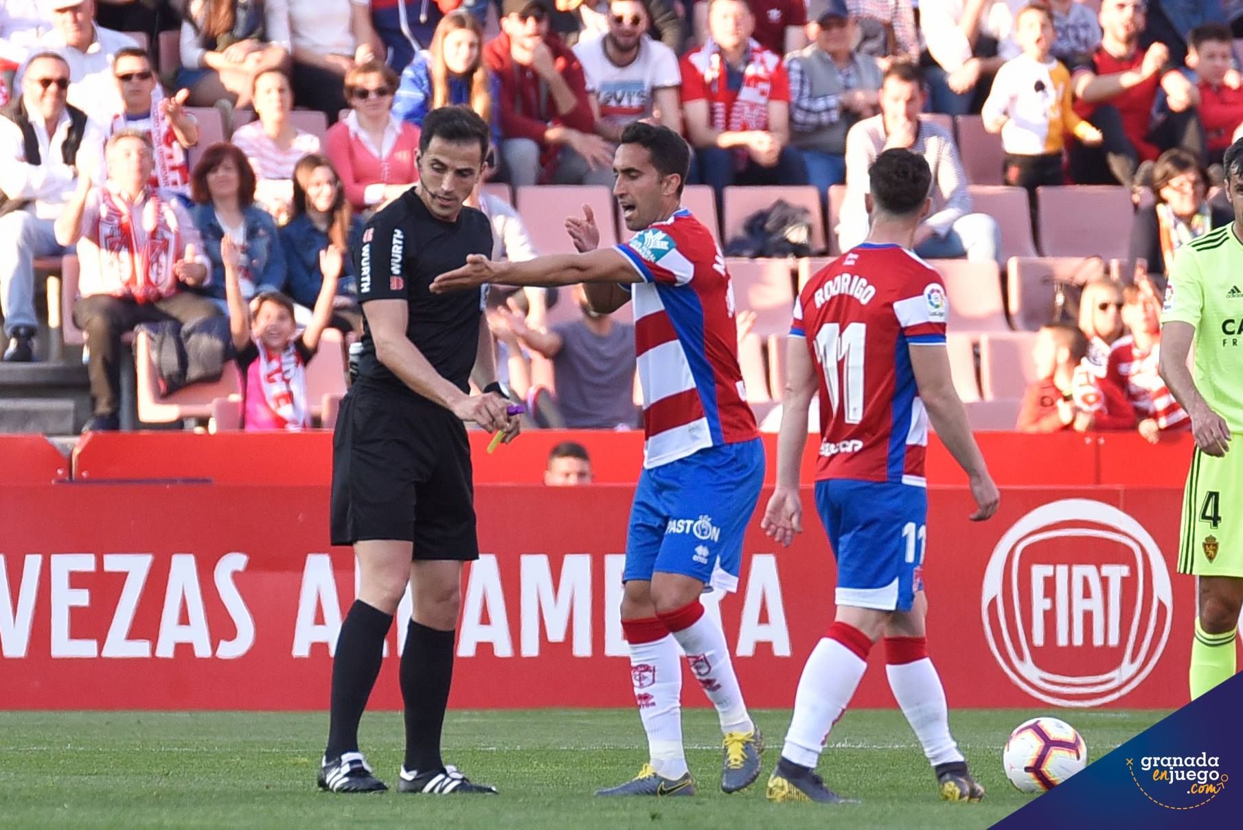 Ais Reig, en `Los Cármenes` durante el Granada - Zaragoza de 2019 (JOSÉ M. BALDOMERO)