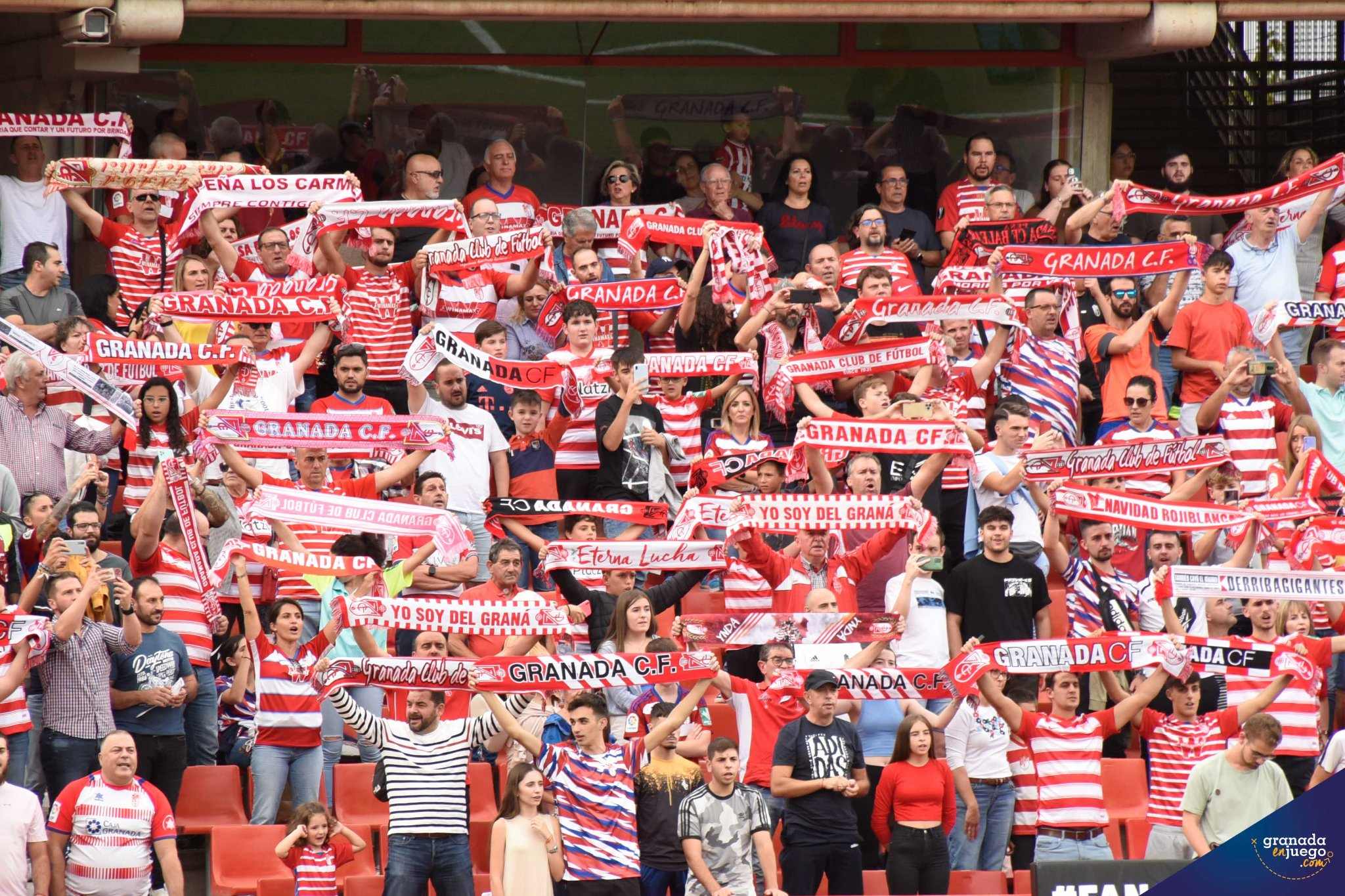 Afición del Granada, en un partido anterior en el `Nuevo Los Cármenes` (JOSÉ M. BALDOMERO)
