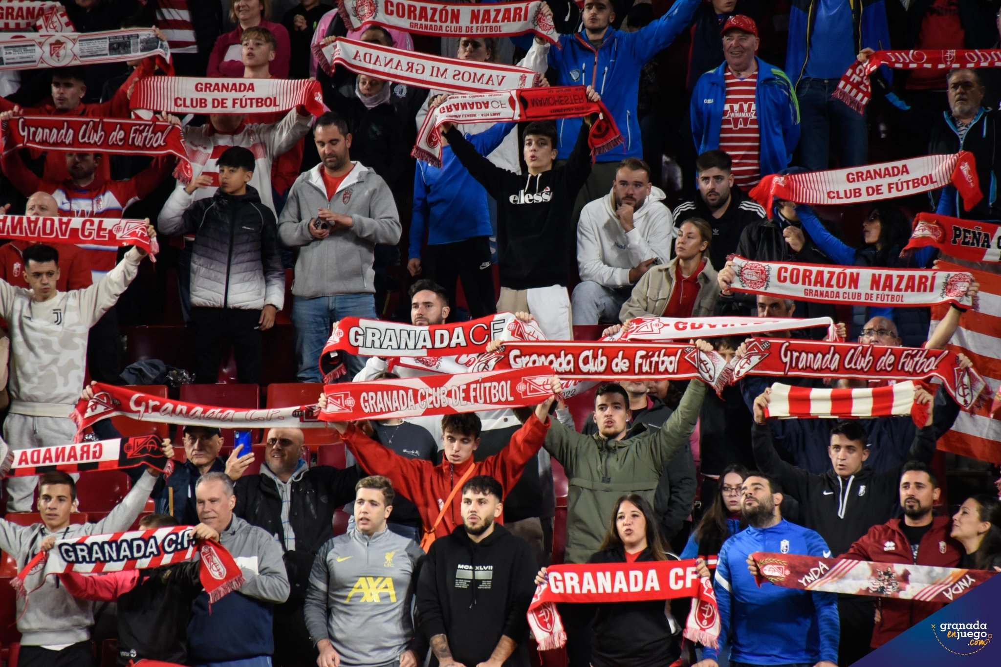 Aficionados del Granada en las gradas del `Nuevo Los Cármenes` durante un anterior partido (JOSÉ M. BALDOMERO)