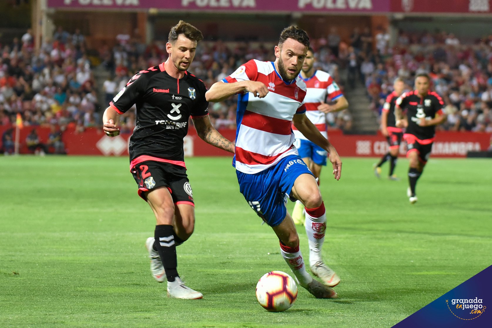 Imagen del último Granada - Tenerife disputado en el `Nuevo Los Cármenes`, en 2019 (JOSÉ M. BALDOMERO)