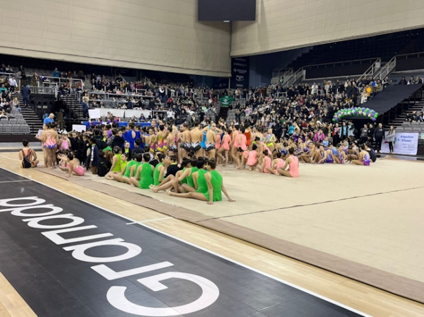 Gimnasia rítmica en el Palacio de los Deportes (AYTO. GRANADA) Gimnasia rítmica en el Palacio de los Deportes (AYTO. GRANADA)