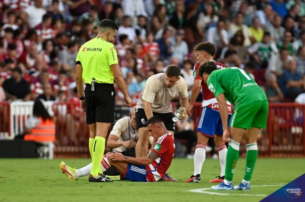 García Verdura arbitró el Granada - Real Betis (JOSÉ M. BALDOMERO) García Verdura arbitró el Granada - Real Betis (JOSÉ M. BALDOMERO)