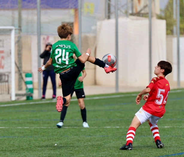 El CF Alhendín lidera la Primera Andaluza Infantil (JOSÉ ANDRÉS FERNÁNDEZ) El CF Alhendín lidera la Primera Andaluza Infantil (JOSÉ ANDRÉS FERNÁNDEZ)