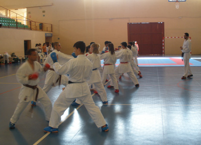 El karate ha tenido muy buena acogida 