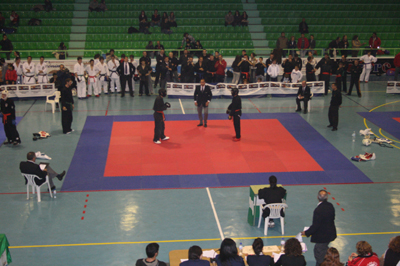 Combate de Kempo 