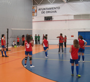 Se busca reunir a las familiar para la práctica del deporte 