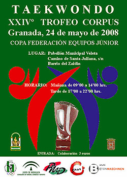 Cartel del torneo de taekwondo para el corpus