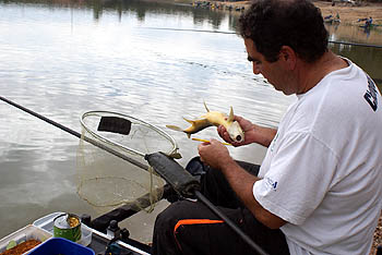Uno de los pescadores con su captura en el desarrollo del certamen